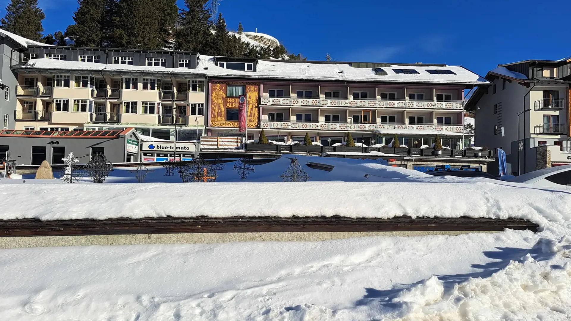Hotel Alpina