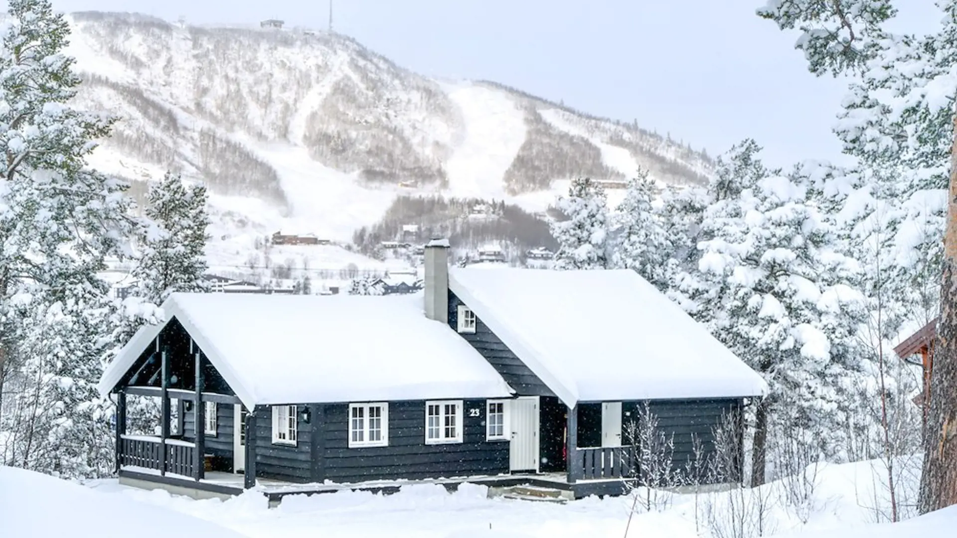 Geilolia Cabins & Apartments